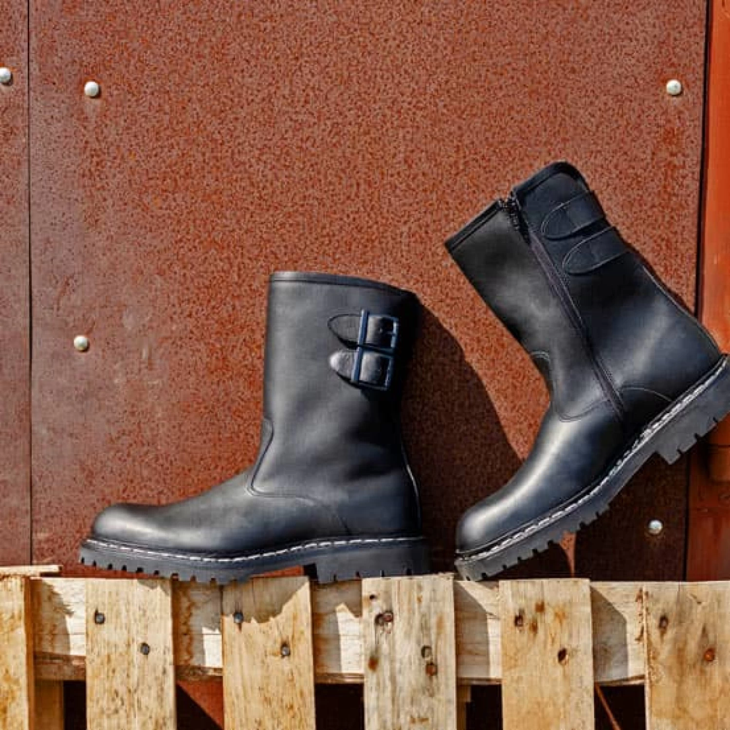 Panther Noir – Image 6