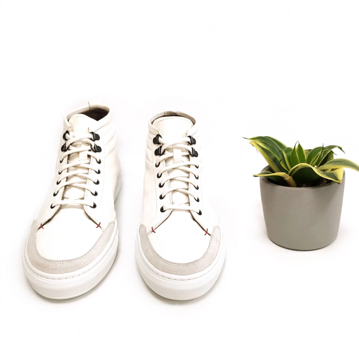 Nowak Blanc – Image 4