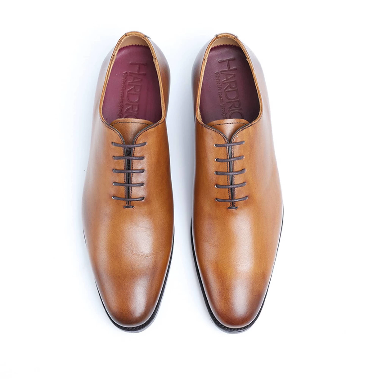 Will Gold – Image 3